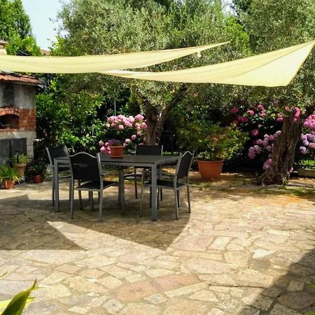 דירות סרזאנה A Casa Di Leda מראה חיצוני תמונה