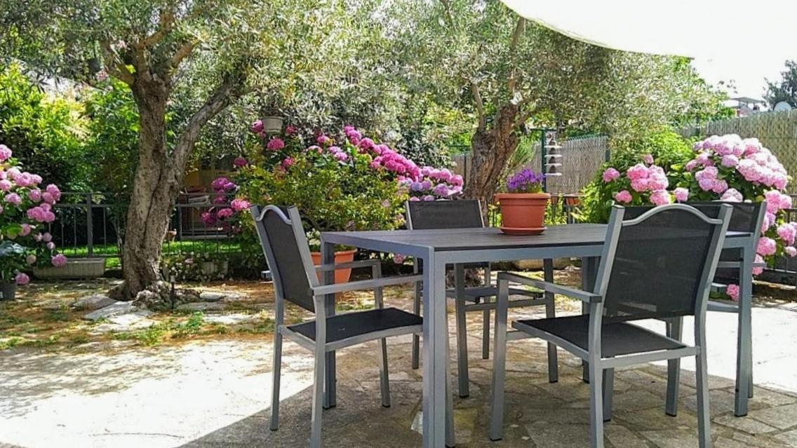 דירות סרזאנה A Casa Di Leda מראה חיצוני תמונה